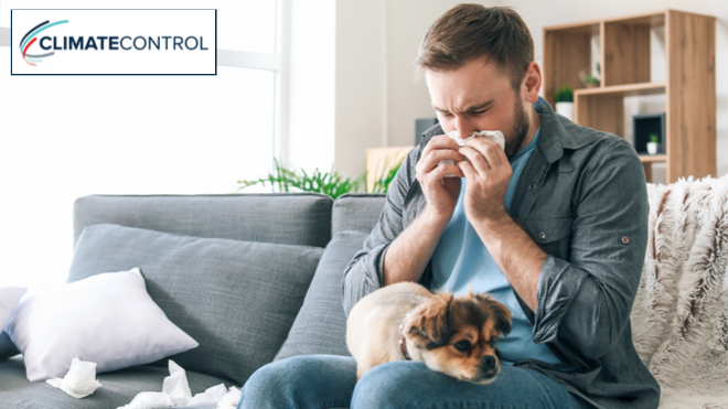 IAQ Testing - Improve Your Home’s Indoor Air Quality