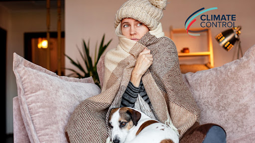 cold climate heat pump